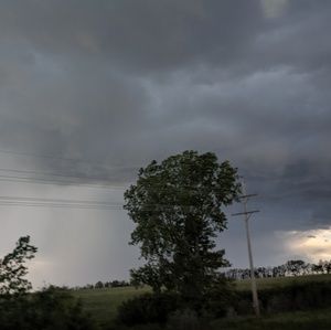 Meet your Posher, Krystle